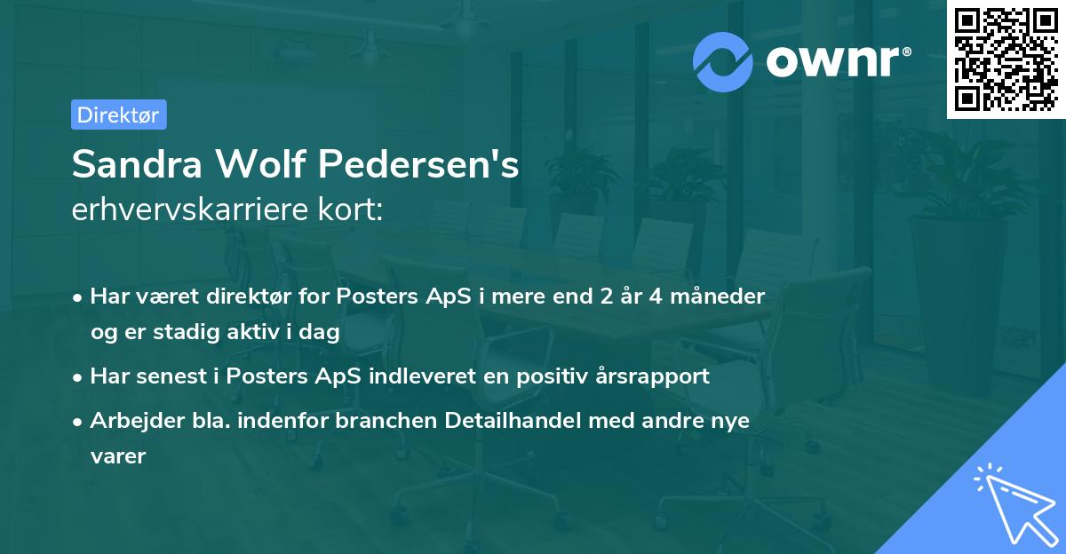 Sandra Wolf Pedersen's erhvervskarriere kort
