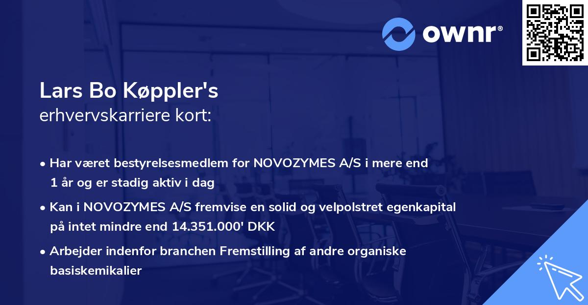 Lars Bo Køppler's erhvervskarriere kort
