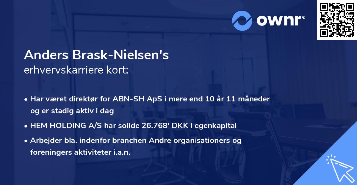 Anders Brask-Nielsen's erhvervskarriere kort