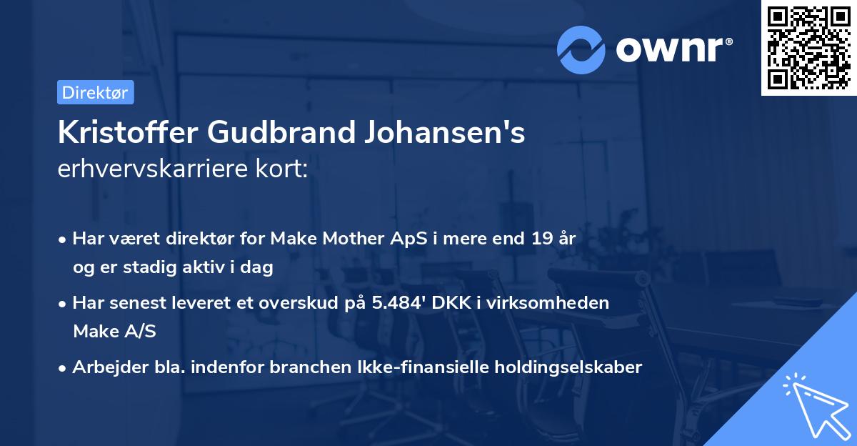 Kristoffer Gudbrand Johansen's erhvervskarriere kort