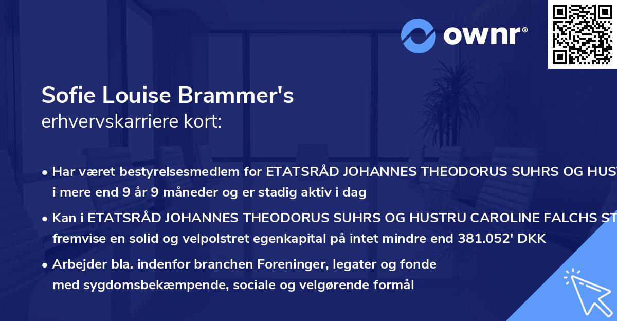 Sofie Louise Brammer's erhvervskarriere kort