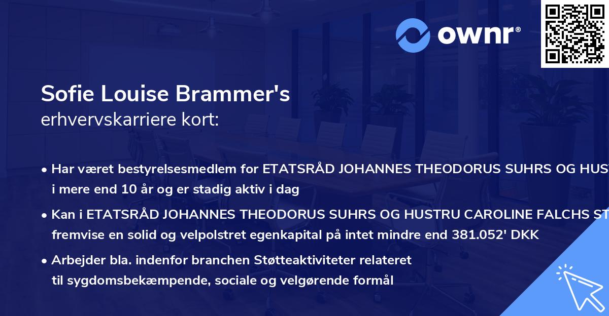 Sofie Louise Brammer's erhvervskarriere kort