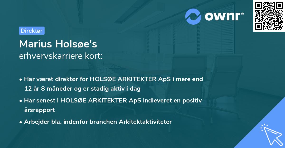 Marius Holsøe's erhvervskarriere kort