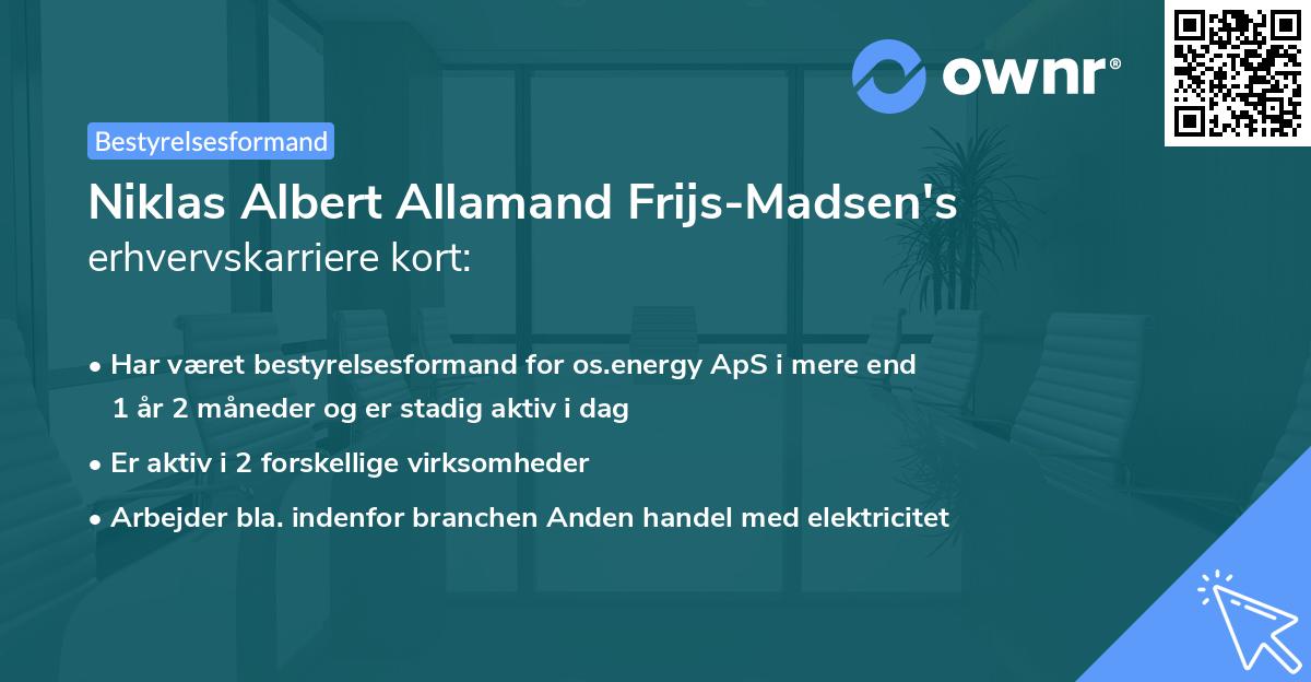 Niklas Albert Allamand Frijs-Madsen's erhvervskarriere kort