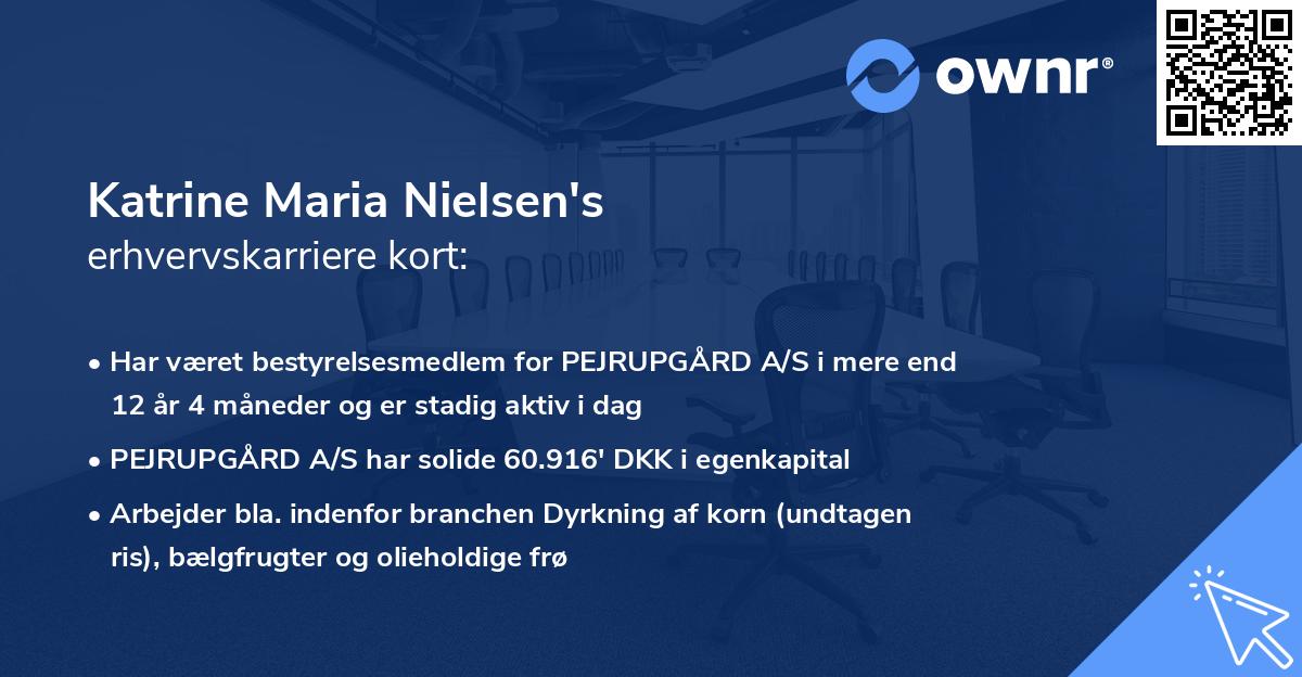Katrine Maria Nielsen's erhvervskarriere kort