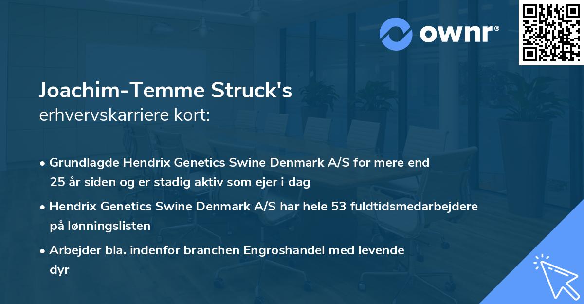 Joachim-Temme Struck's erhvervskarriere kort