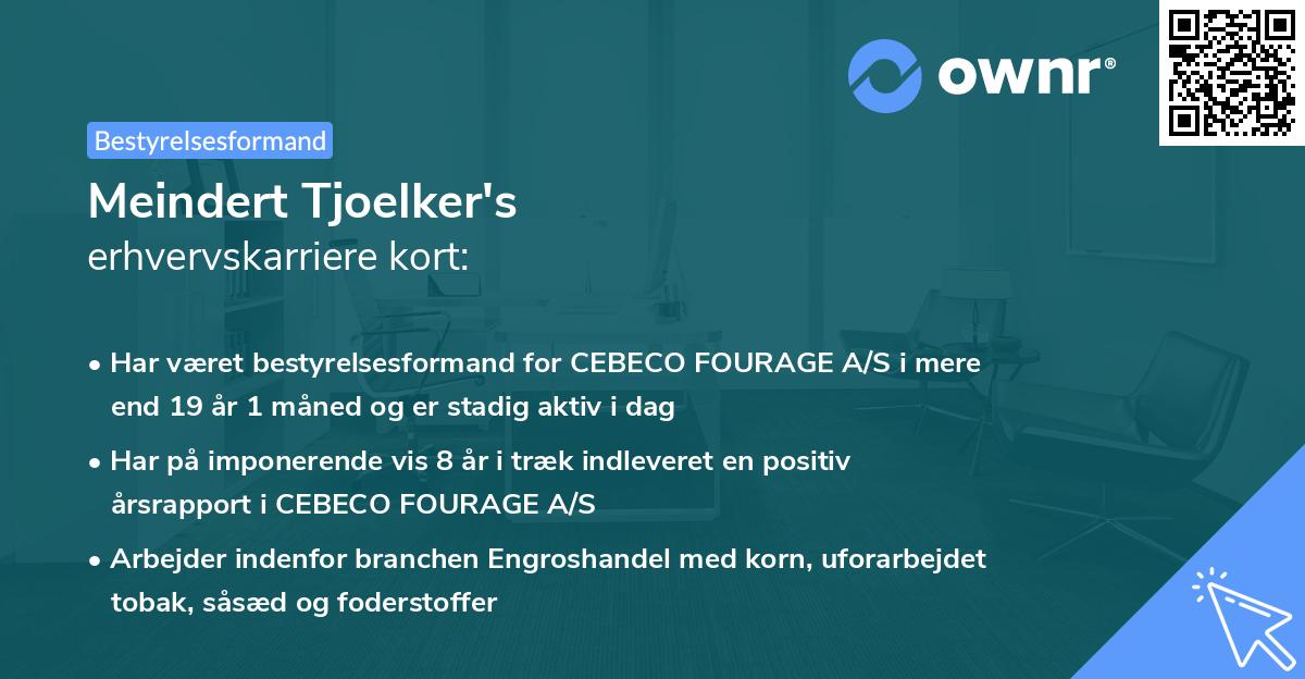 Meindert Tjoelker's erhvervskarriere kort