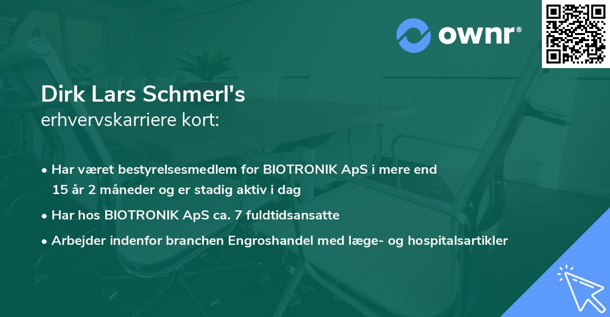 Dirk Lars Schmerl's erhvervskarriere kort