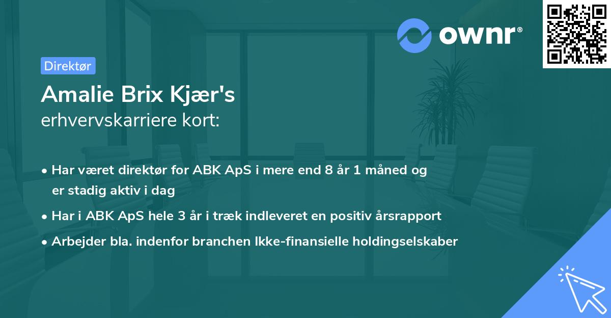 Amalie Brix Kjær's erhvervskarriere kort