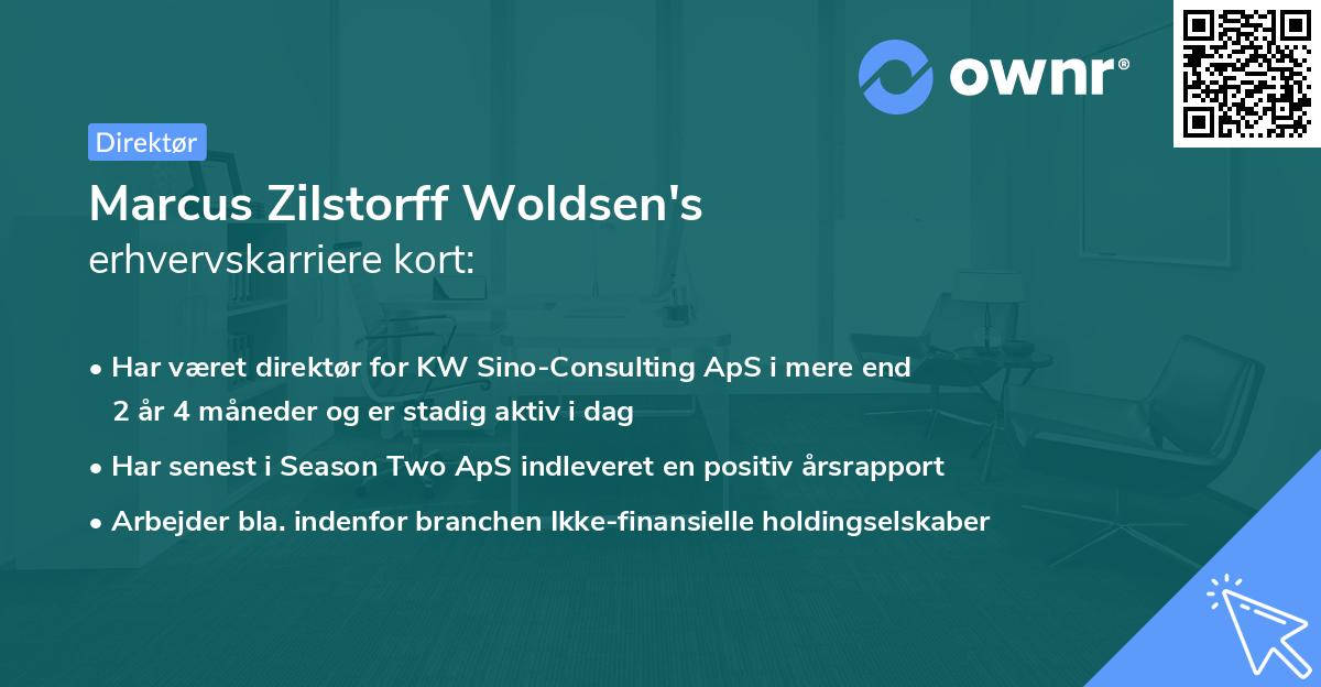 Marcus Zilstorff Woldsen's erhvervskarriere kort