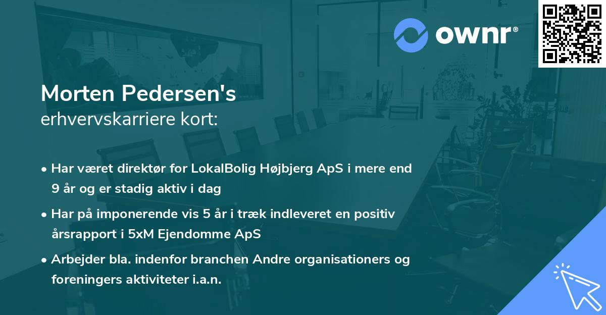 Morten Pedersen's erhvervskarriere kort