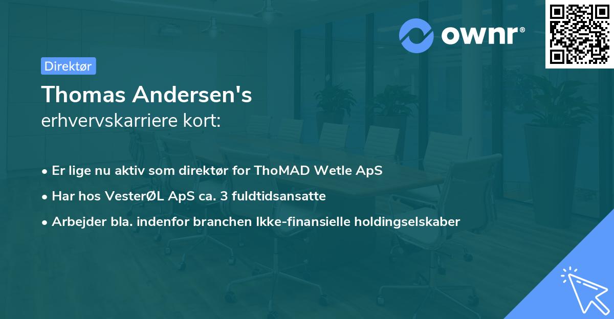 Thomas Andersen's erhvervskarriere kort