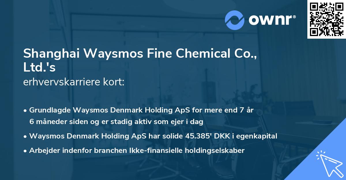 Shanghai Waysmos Fine Chemical Co., Ltd.'s erhvervskarriere kort