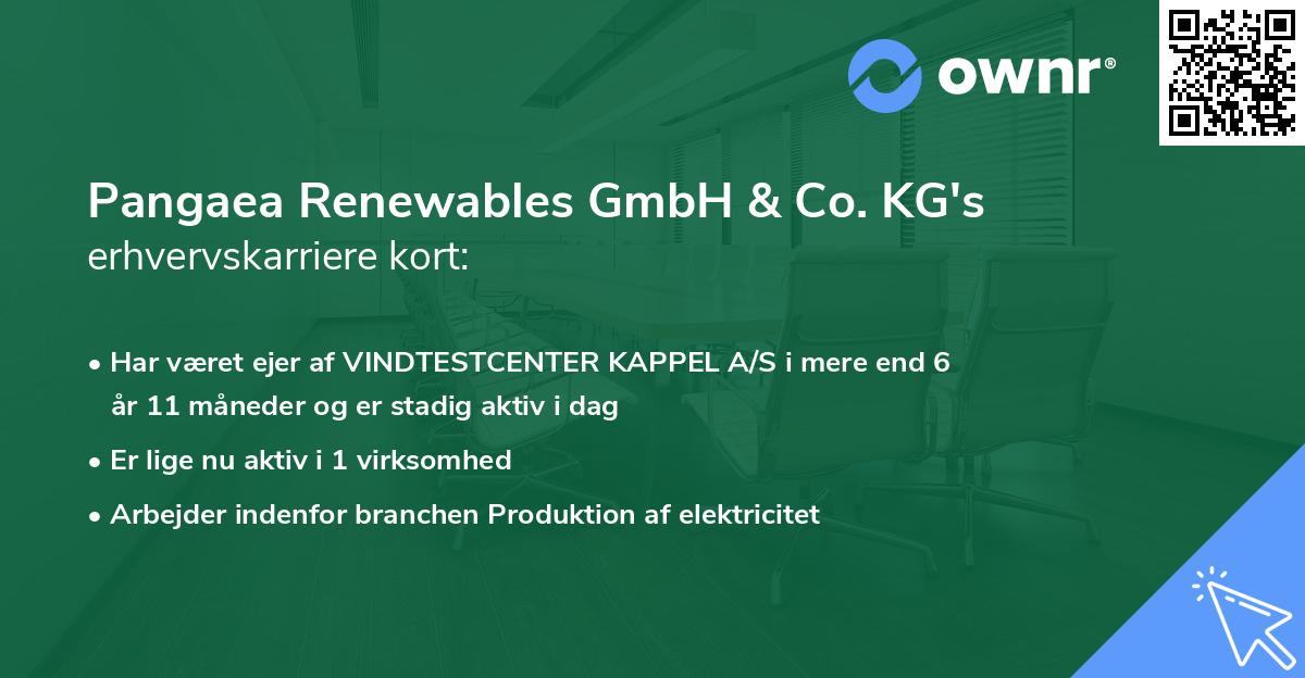 Pangaea Renewables GmbH & Co. KG's erhvervskarriere kort