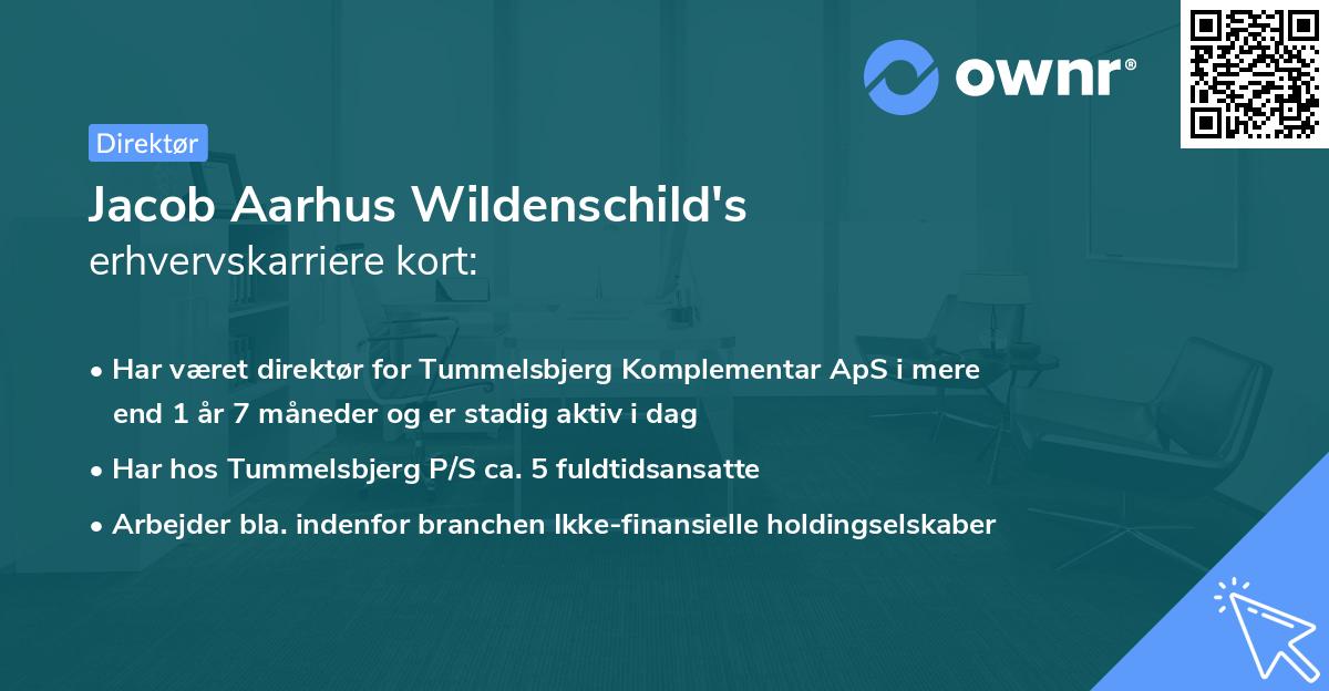 Jacob Aarhus Wildenschild's erhvervskarriere kort