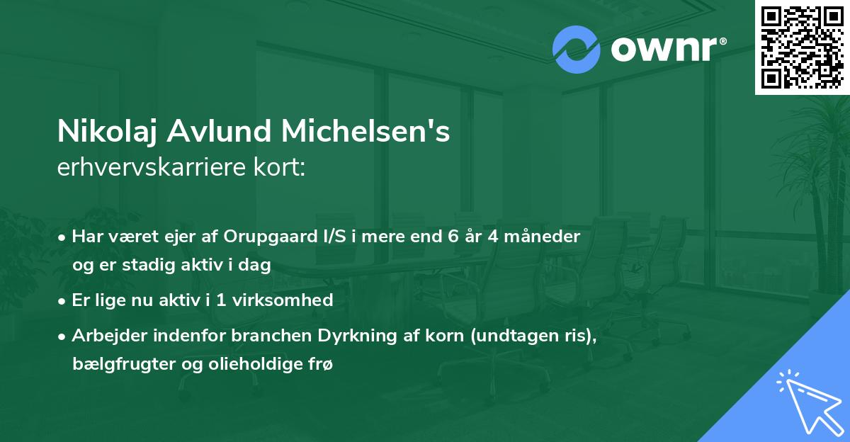 Nikolaj Avlund Michelsen's erhvervskarriere kort