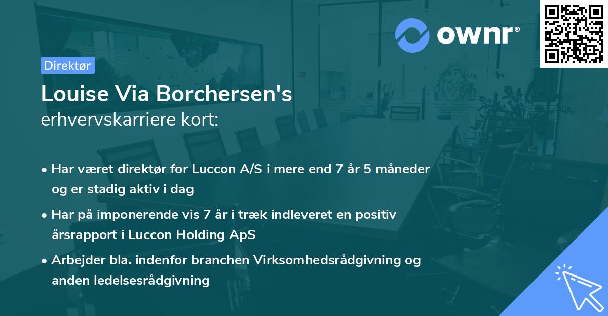 Louise Via Borchersen's erhvervskarriere kort