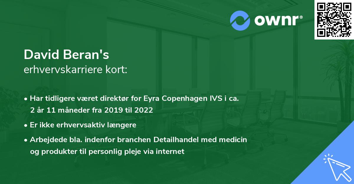 David Beran's erhvervskarriere kort