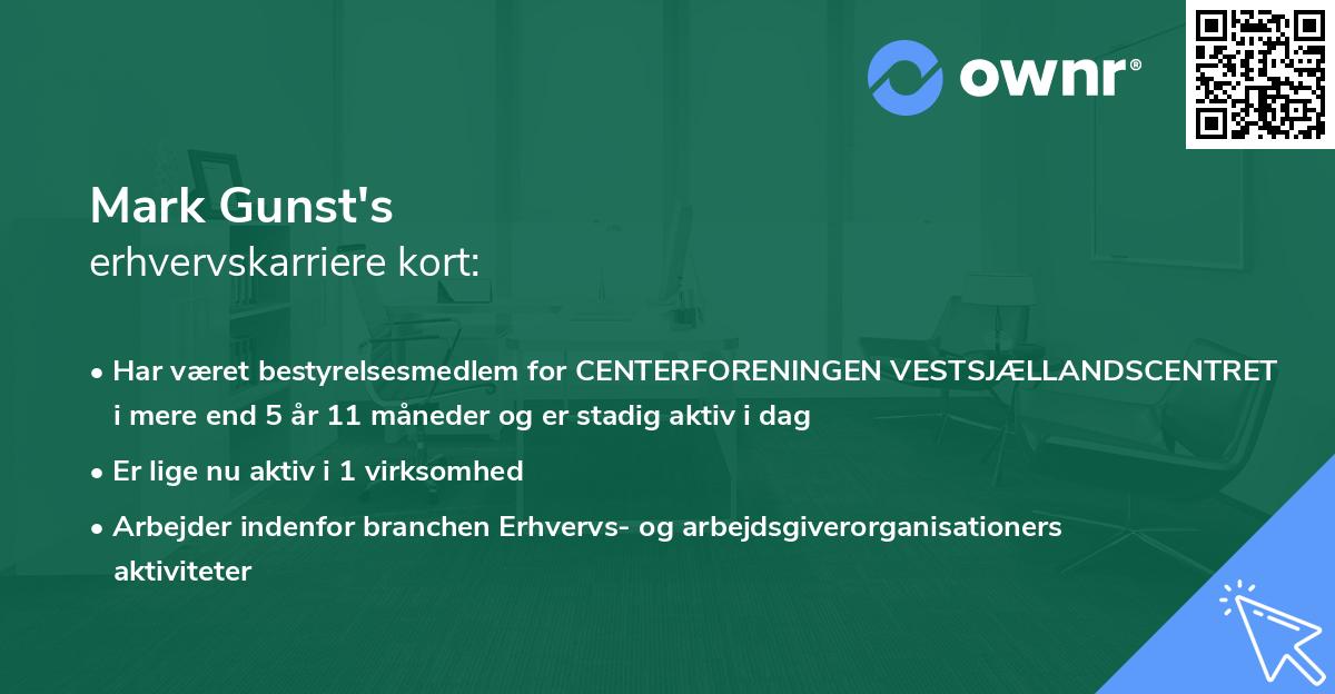 Mark Gunst's erhvervskarriere kort