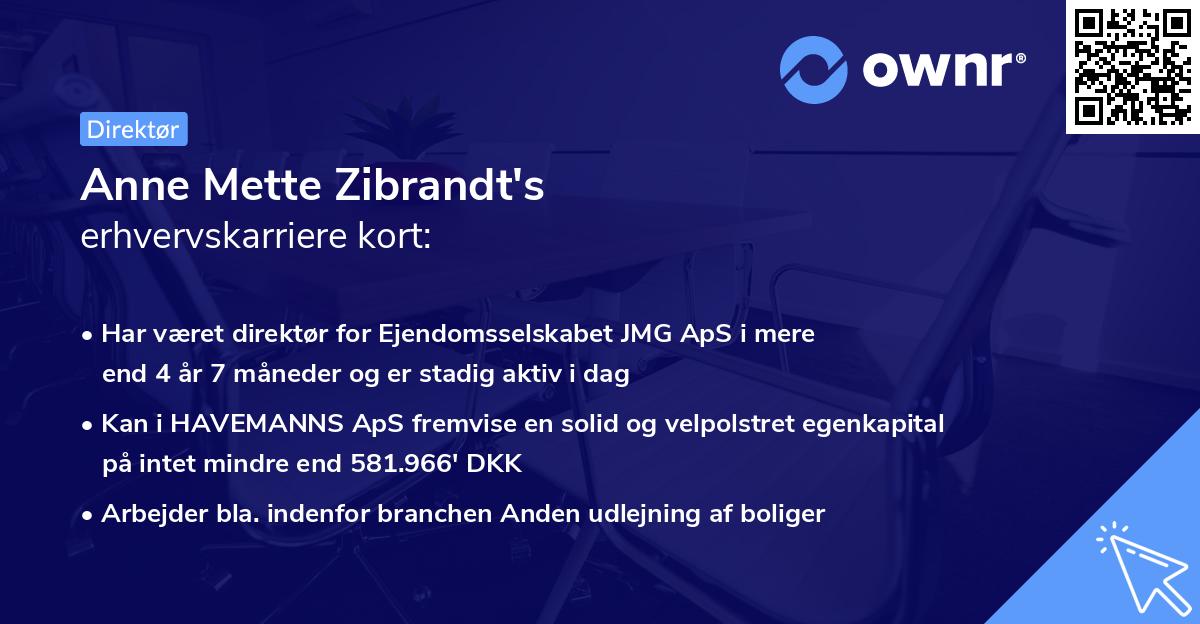 Anne Mette Zibrandt's erhvervskarriere kort