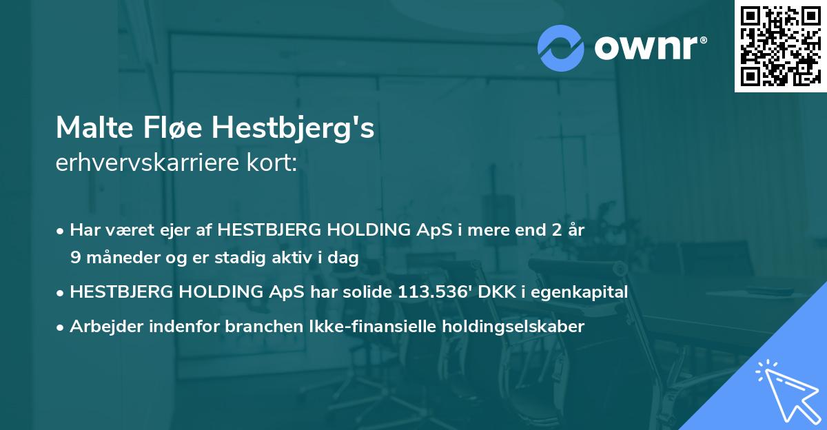 Malte Fløe Hestbjerg's erhvervskarriere kort