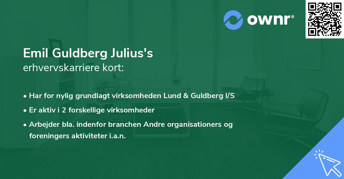 Emil Guldberg Julius's erhvervskarriere kort