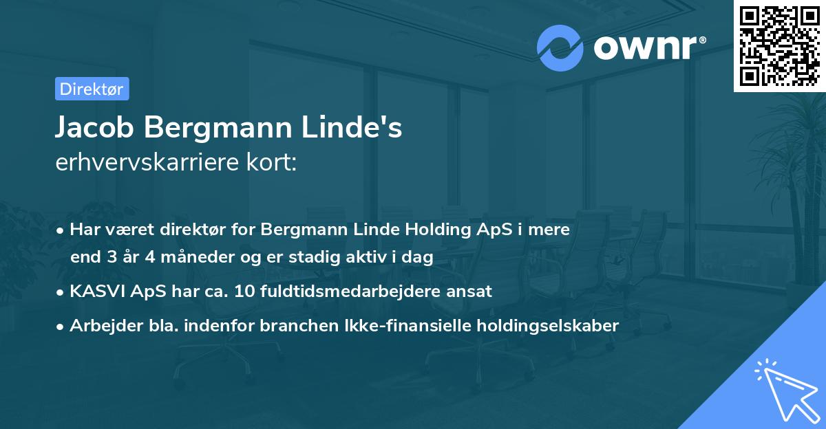 Jacob Bergmann Linde's erhvervskarriere kort