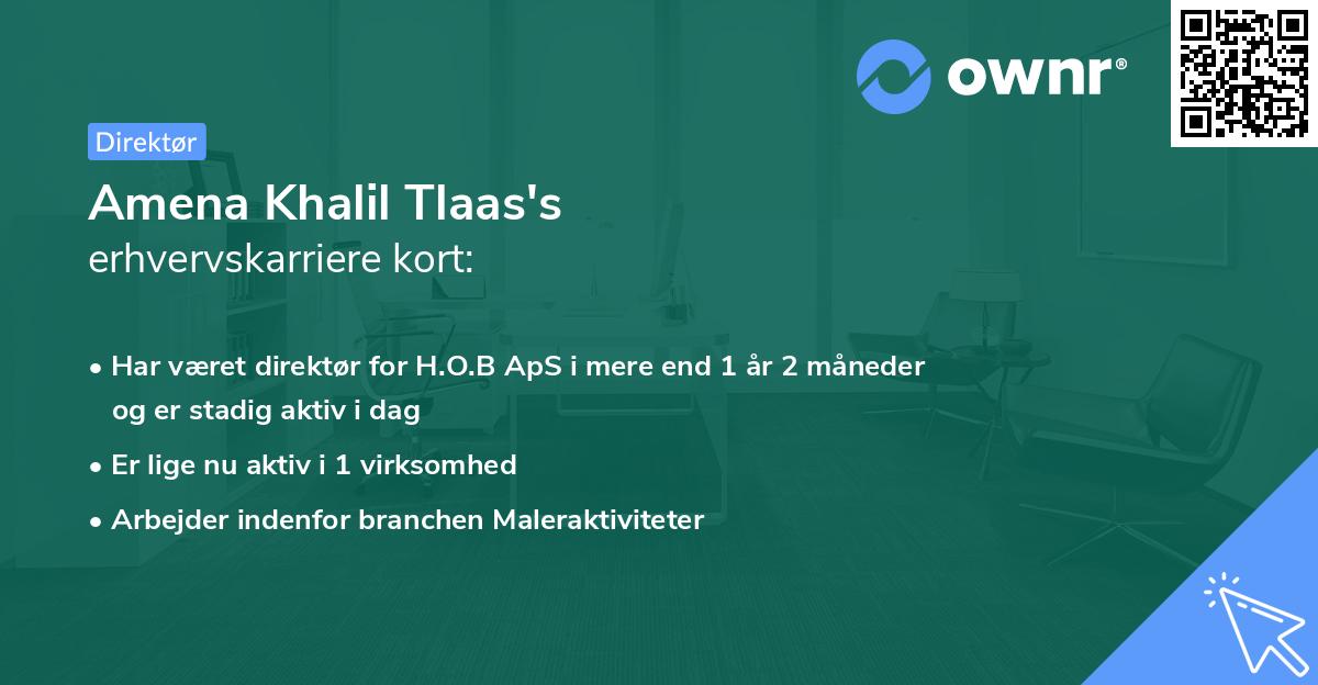 Amena Khalil Tlaas's erhvervskarriere kort