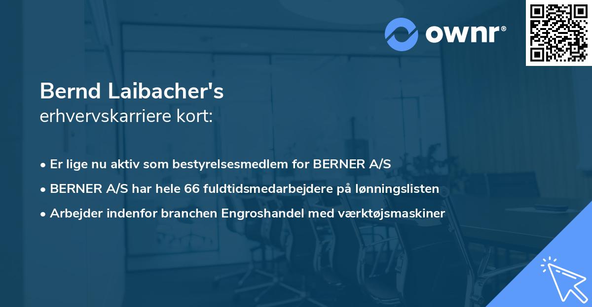 Bernd Laibacher's erhvervskarriere kort