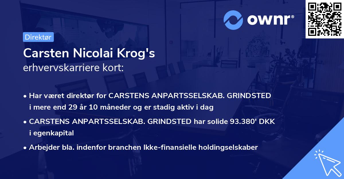 Carsten Nicolai Krog's erhvervskarriere kort