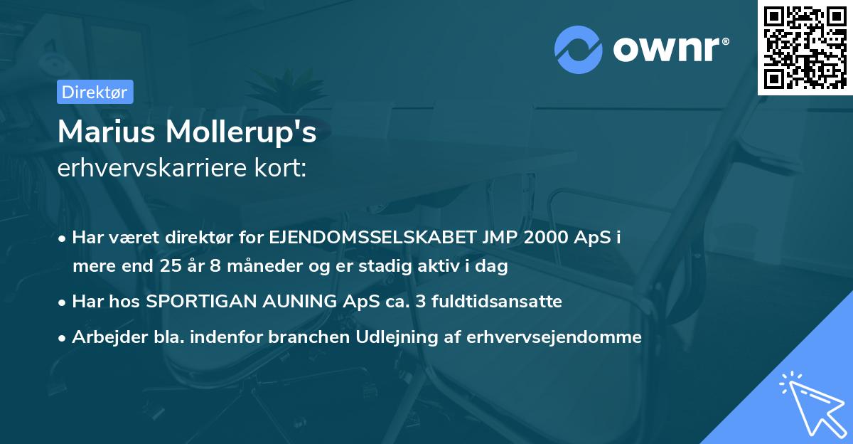 Marius Mollerup's erhvervskarriere kort