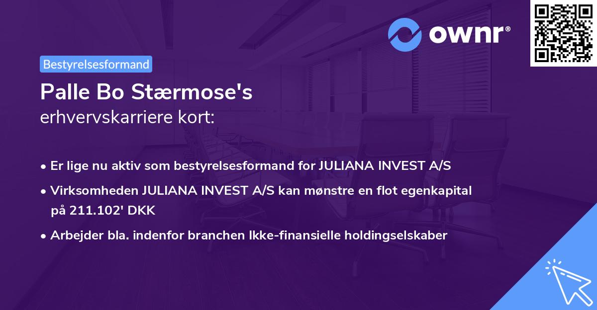 Palle Bo Stærmose's erhvervskarriere kort