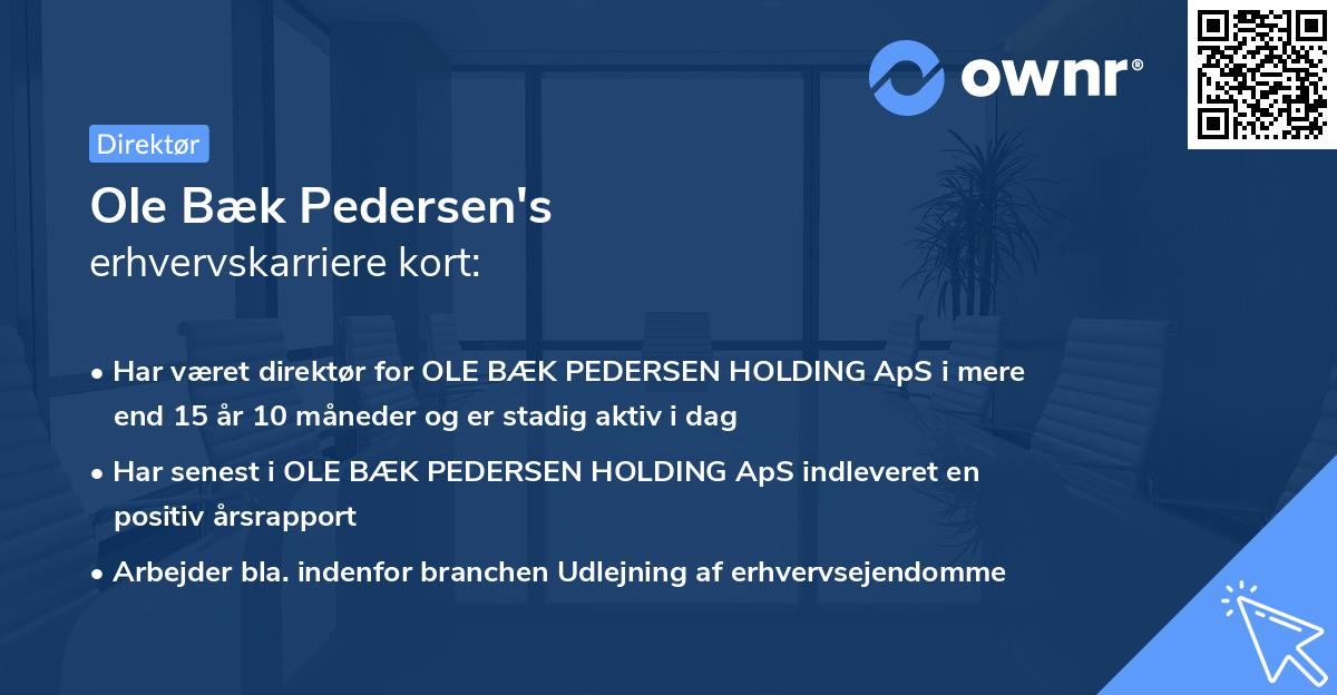 Ole Bæk Pedersen's erhvervskarriere kort