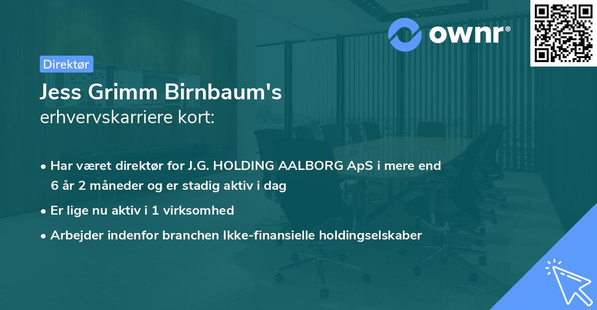 Jess Grimm Birnbaum's erhvervskarriere kort