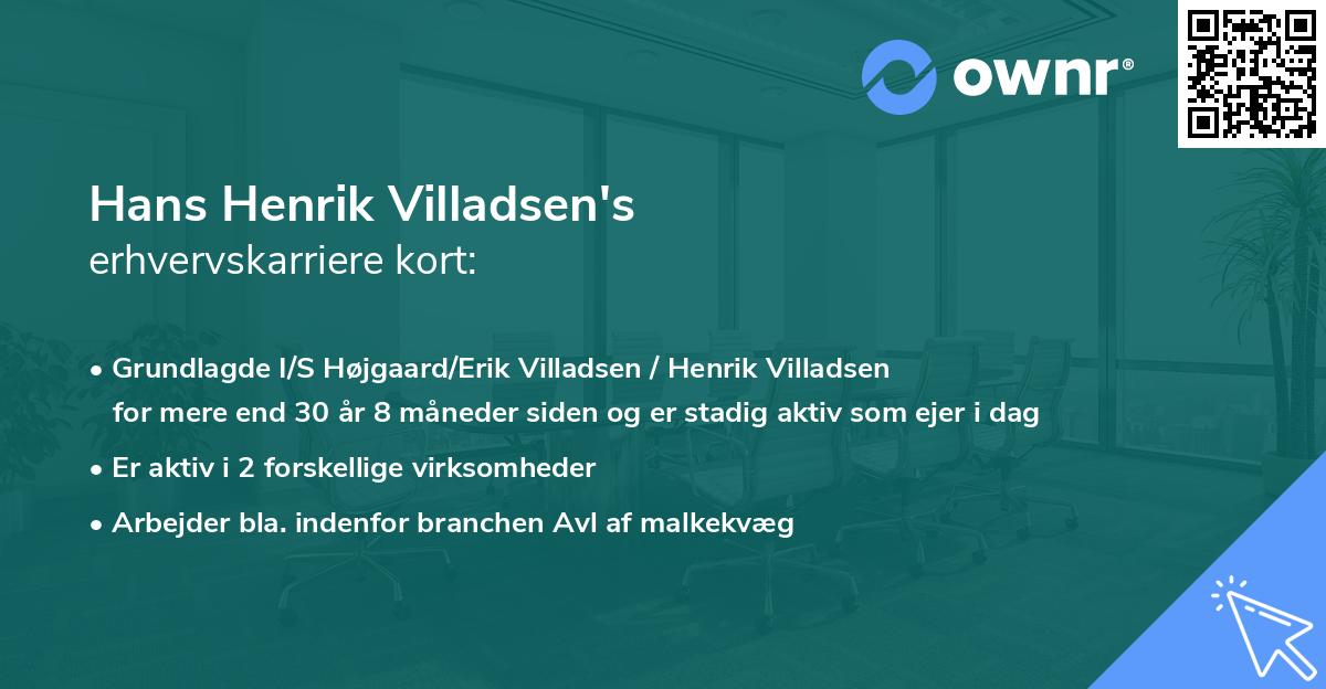 Hans Henrik Villadsen's erhvervskarriere kort