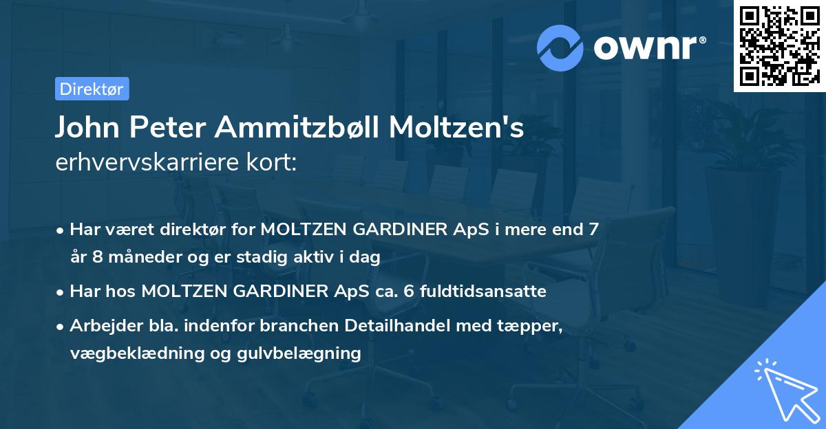 John Peter Ammitzbøll Moltzen's erhvervskarriere kort