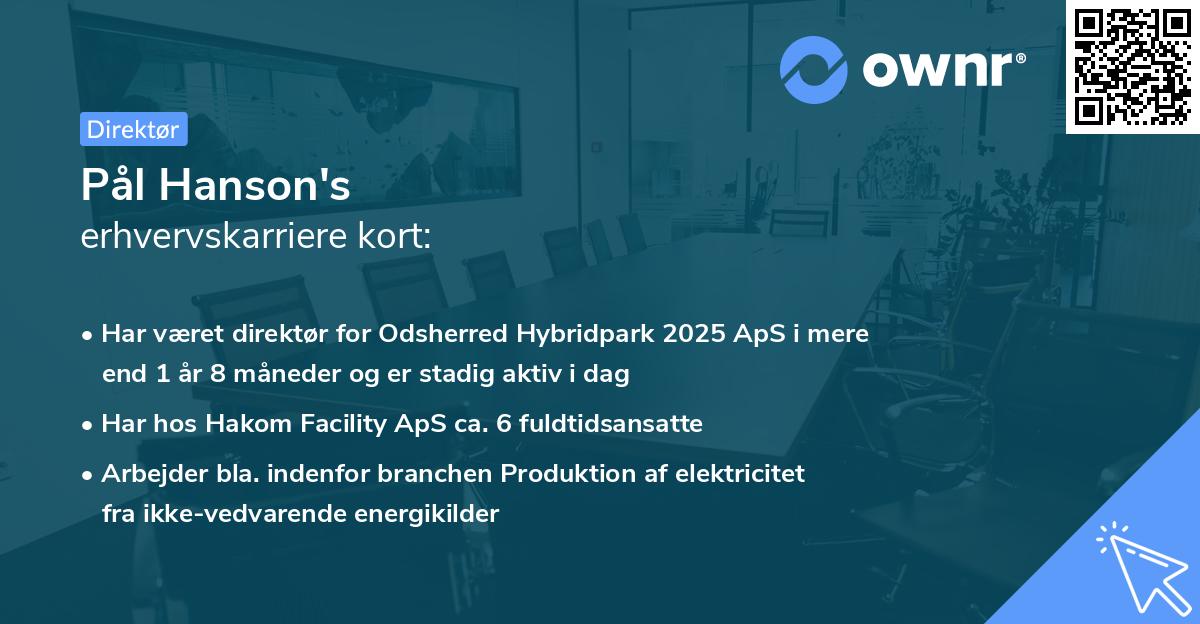 Pål Hanson's erhvervskarriere kort