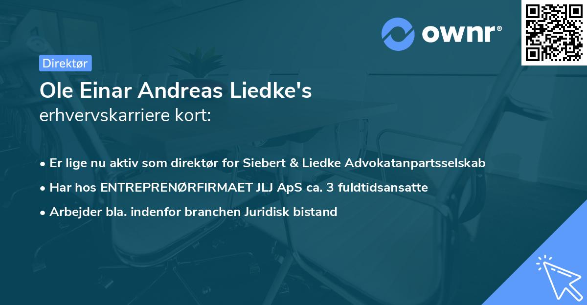 Ole Einar Andreas Liedke's erhvervskarriere kort