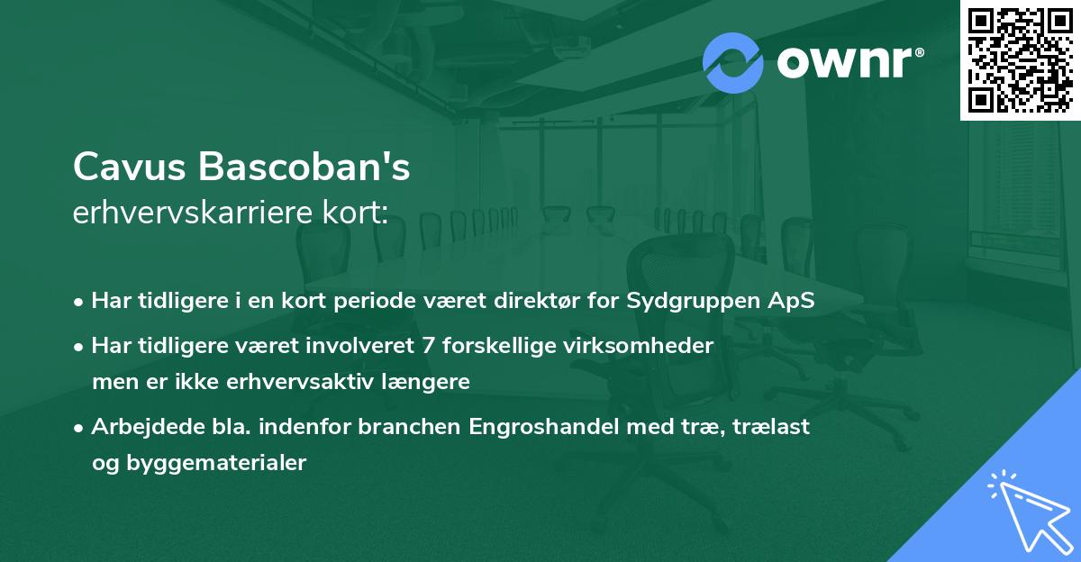 Cavus Bascoban's erhvervskarriere kort