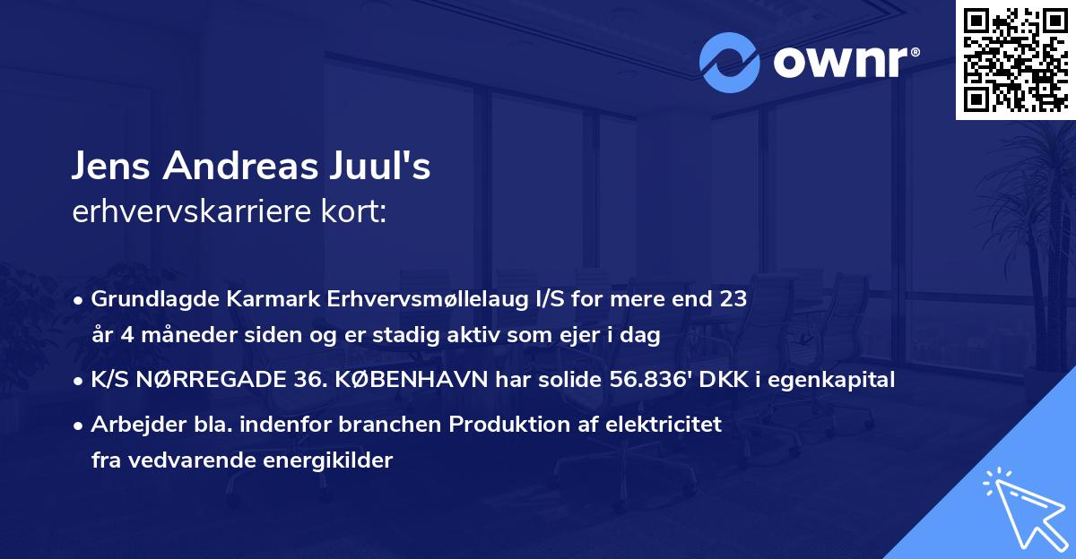 Jens Andreas Juul's erhvervskarriere kort