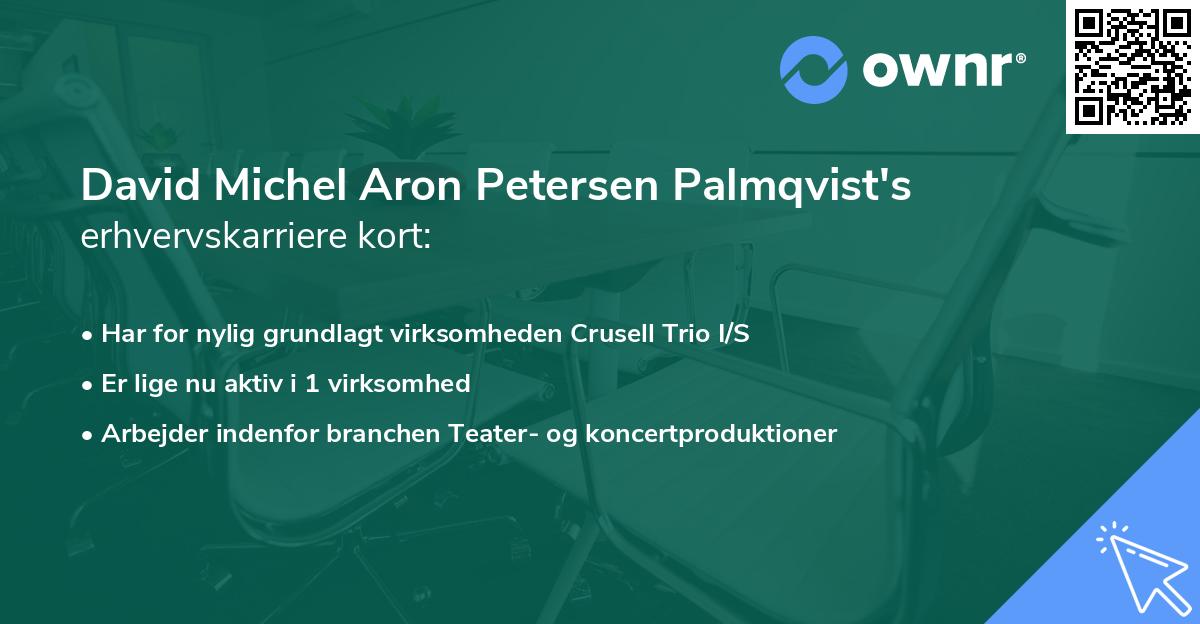 David Michel Aron Petersen Palmqvist's erhvervskarriere kort