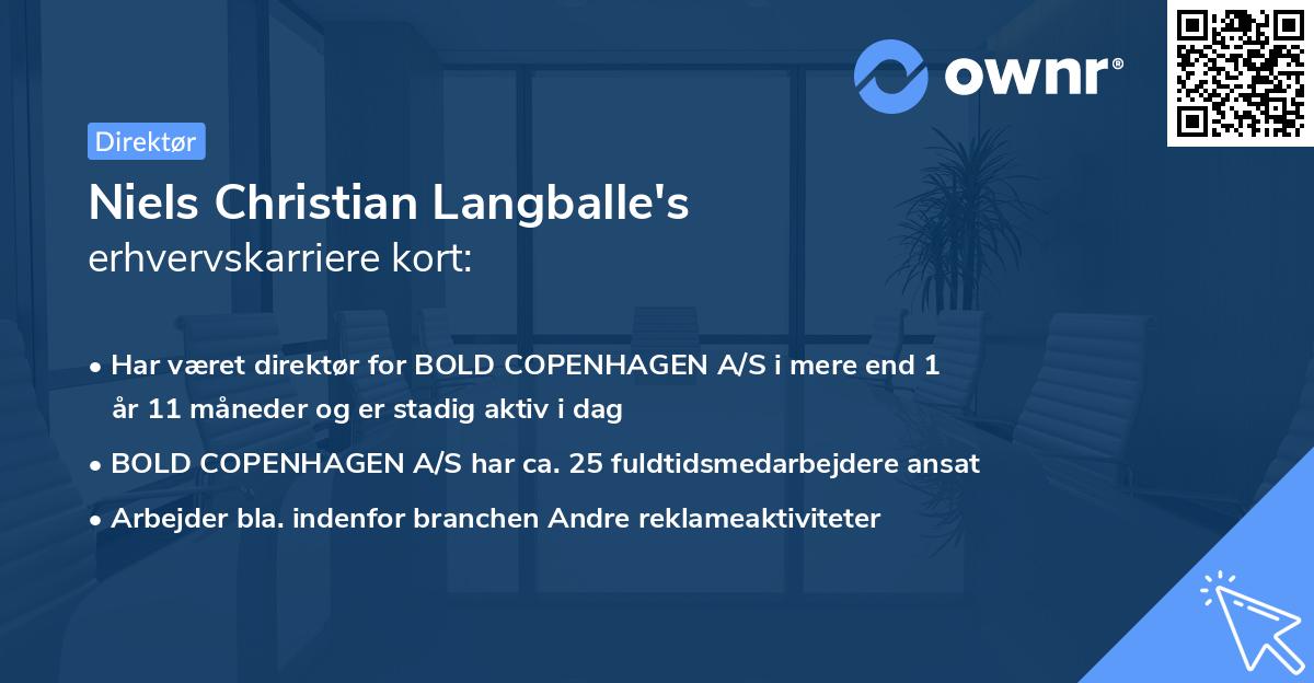 Niels Christian Langballe's erhvervskarriere kort