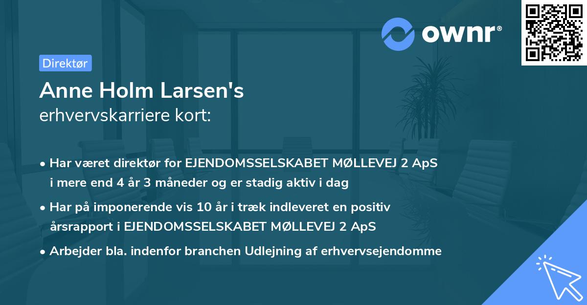 Anne Holm Larsen's erhvervskarriere kort