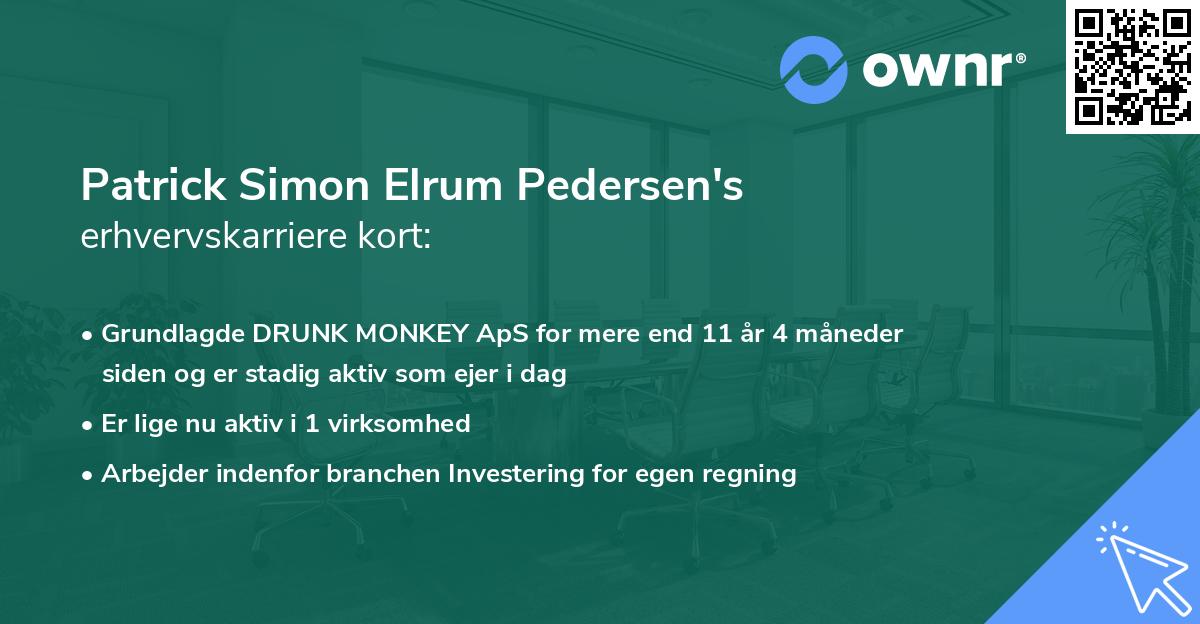 Patrick Simon Elrum Pedersen's erhvervskarriere kort