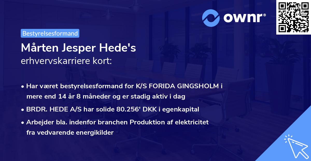 Mårten Jesper Hede's erhvervskarriere kort