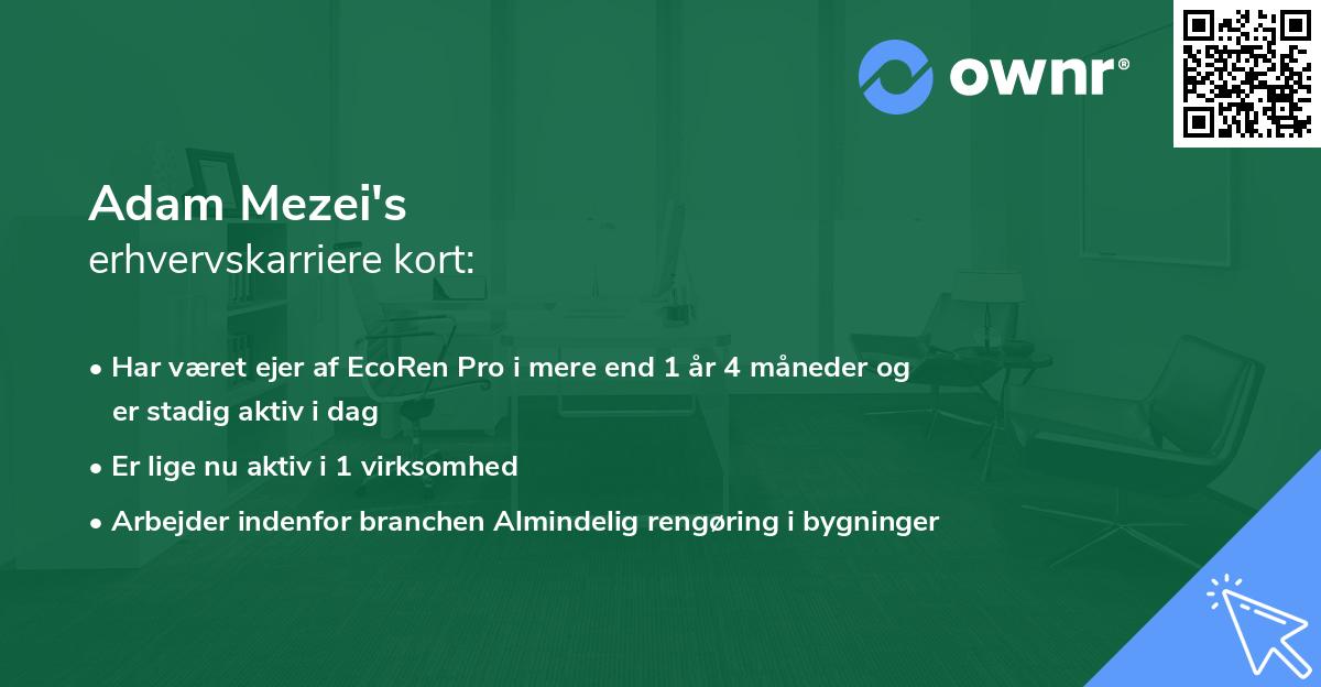 Adam Mezei's erhvervskarriere kort