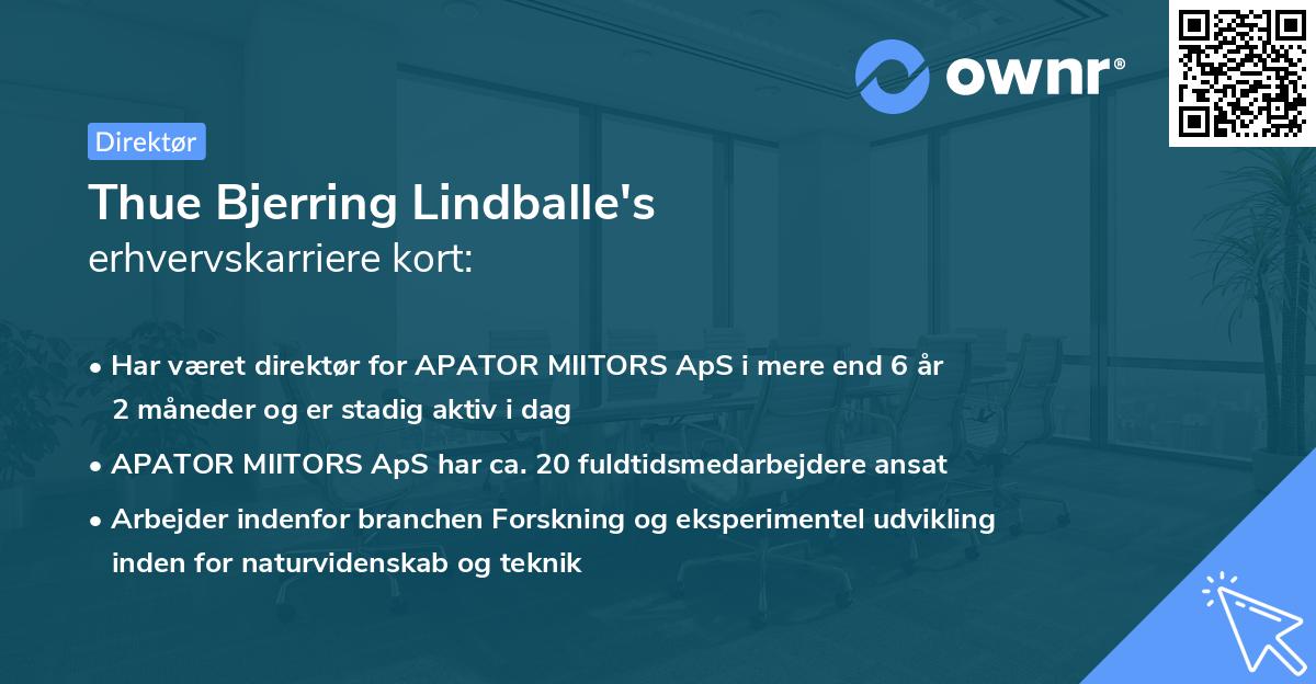 Thue Bjerring Lindballe's erhvervskarriere kort