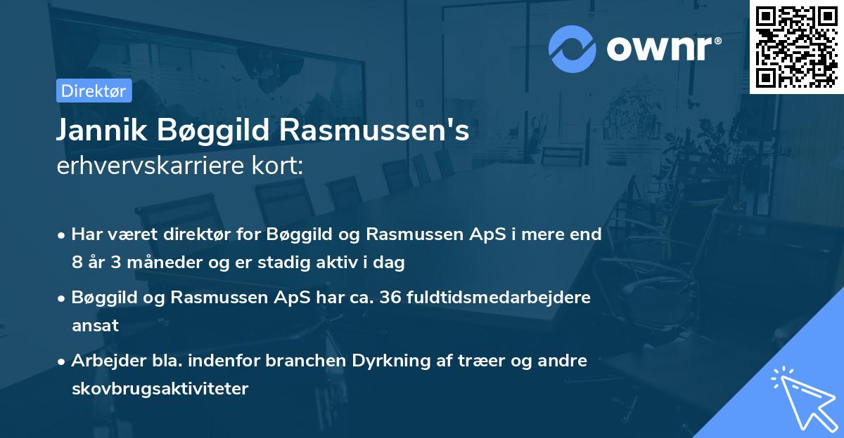 Jannik Bøggild Rasmussen's erhvervskarriere kort