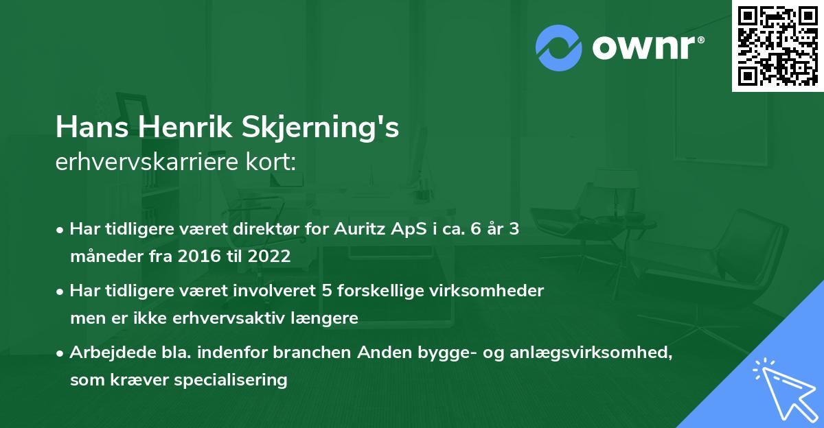 Hans Henrik Skjerning's erhvervskarriere kort