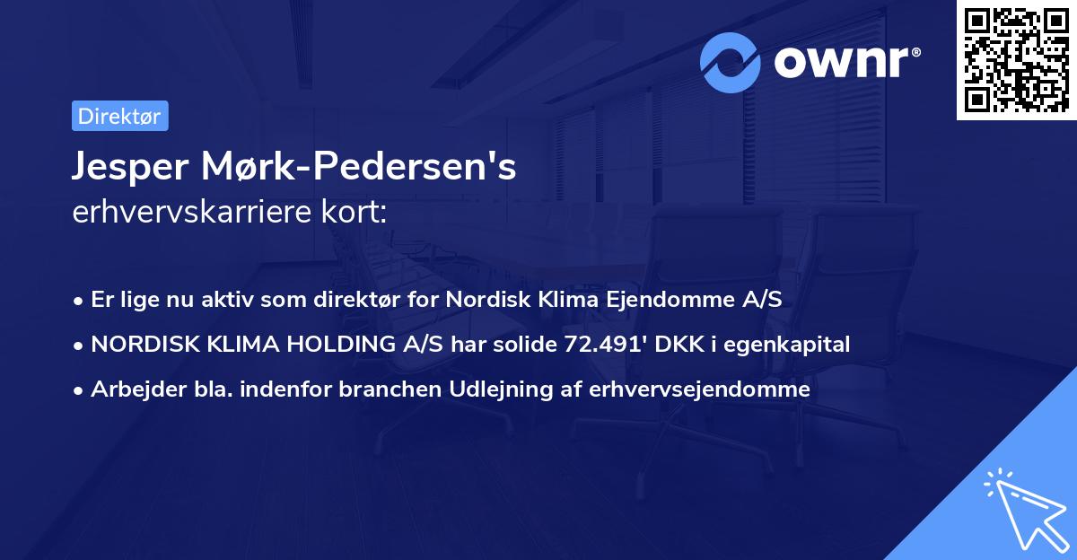 Jesper Mørk-Pedersen's erhvervskarriere kort